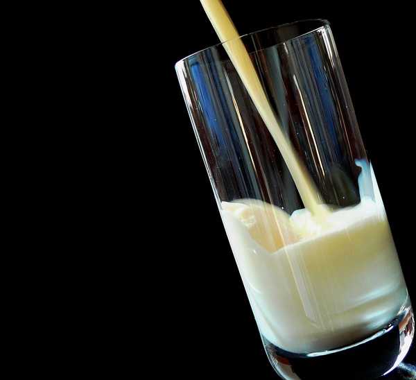 Nejlepší značky rostlinného mléka na ruském trhu pro rok 2020