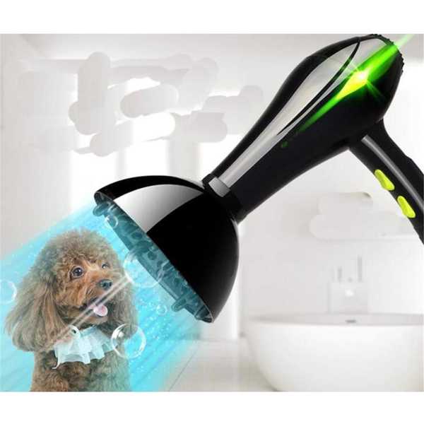 Hodnocení vysoušečů vlasů-kompresorů pro sušení psů a koček do roku 2020