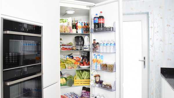Ocena najboljših amortizerjev za hladilnik za leto 2020