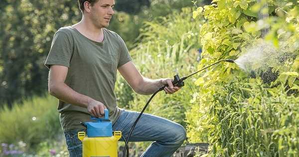 11 кращих садових обприскувачів