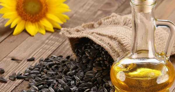 12 produsen minyak bunga matahari terbaik