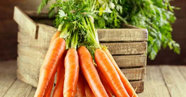 12 кращих сортів моркви