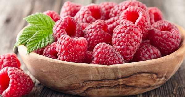 15 varietas terbaik raspberry remont