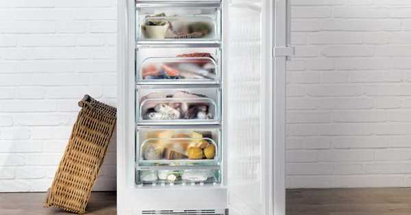 4 freezer termurah dan berkualitas tinggi