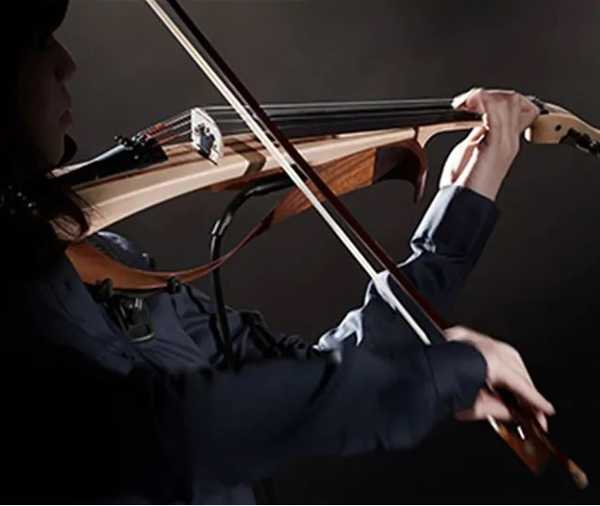 6 najboljših elektro violin