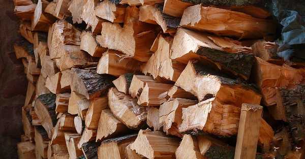 Рейтинг кращих козлів для розпилювання дров у 2020 році