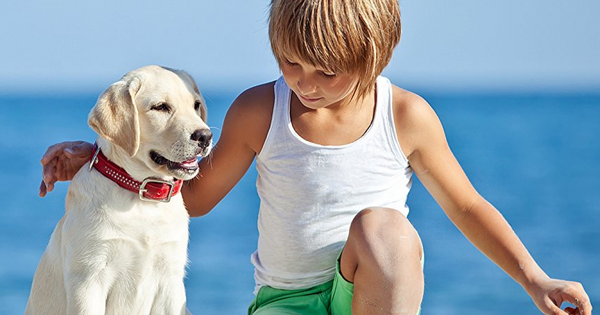 15 най-добри породи кучета за деца