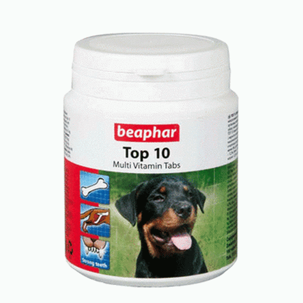 A 18 legjobb vitamin kutyák számára