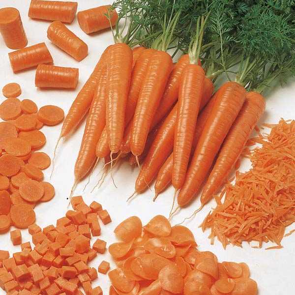 Ako a koľko variť mrkva Odborný materiál
