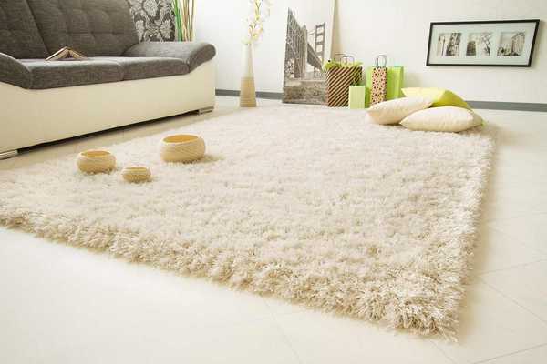 Рейтинг кращих засобів для чищення килимів для будинку в 2020 році