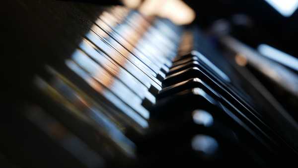 Peringkat sekolah musik terbaik di Voronezh pada tahun 2020