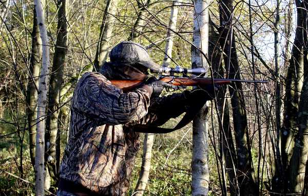 Peringkat senapan angin terbaik untuk berburu tanpa lisensi untuk tahun 2020