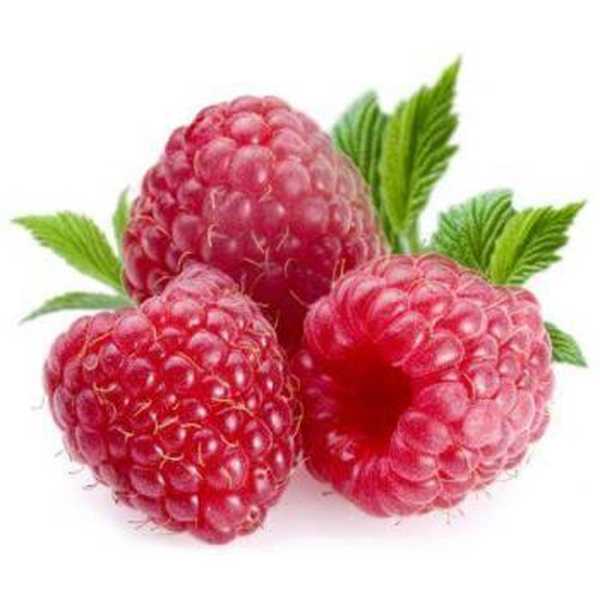 15 varietas raspberry terbaik