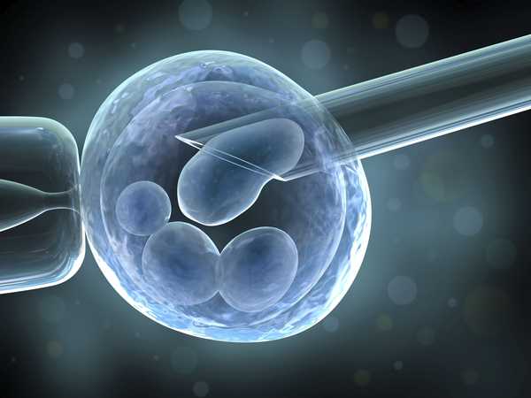 A Novoszibirszk legjobb 2020-as IVF klinikáinak értékelése pozitív értékelésekkel és eredményekkel